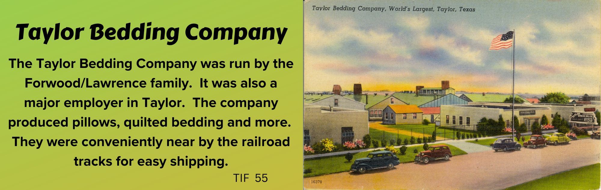 Taylor Bedding Company